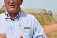 ABT cultivos tapados 13